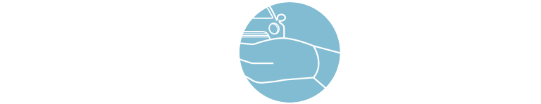 MINI Insurance – Ferramentas de compras