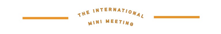 O INTERNATIONAL MINI MEETING.